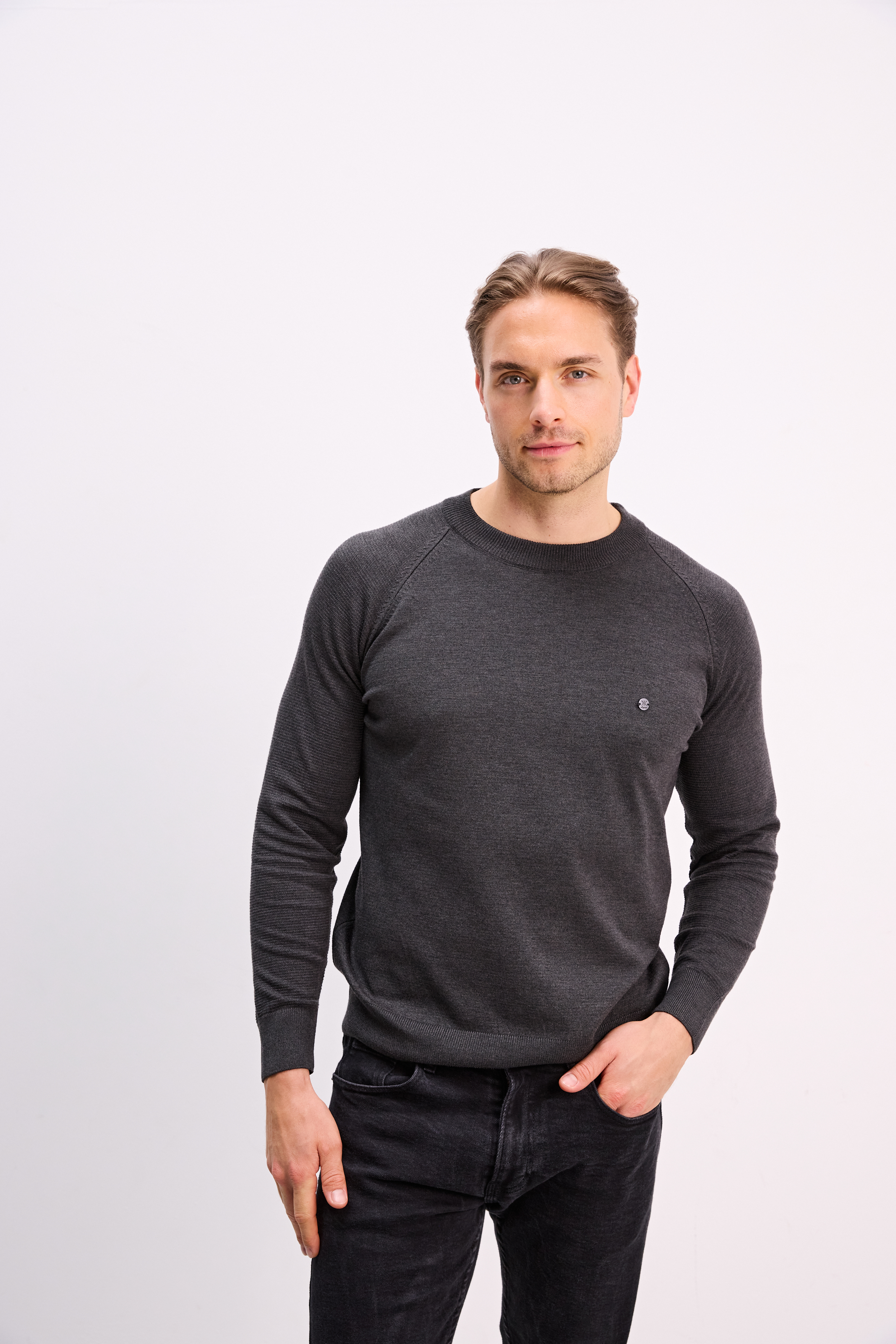 Feinstrickpullover mit Rundhalsausschnitt. Regular Fit. Anthracite